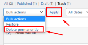 ওয়ার্ডপ্রেসে কিভাবে ব্লগ পোস্ট পারমানেন্টলি ডিলেট করবো?