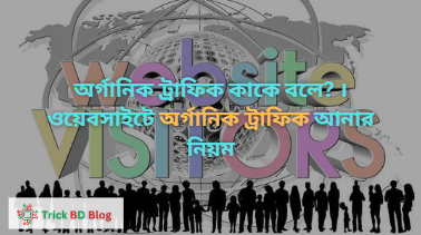 অর্গানিক ট্রাফিক কাকে বলে? । ওয়েবসাইটে অর্গানিক ট্রাফিক আনার নিয়ম