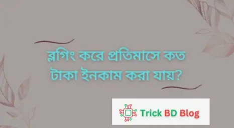 ব্লগিং করে প্রতিমাসে কত টাকা ইনকাম করা যায়?
