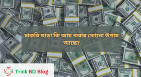 চাকরি ছাড়া কি আয় করার কোনো উপায় আছে?
