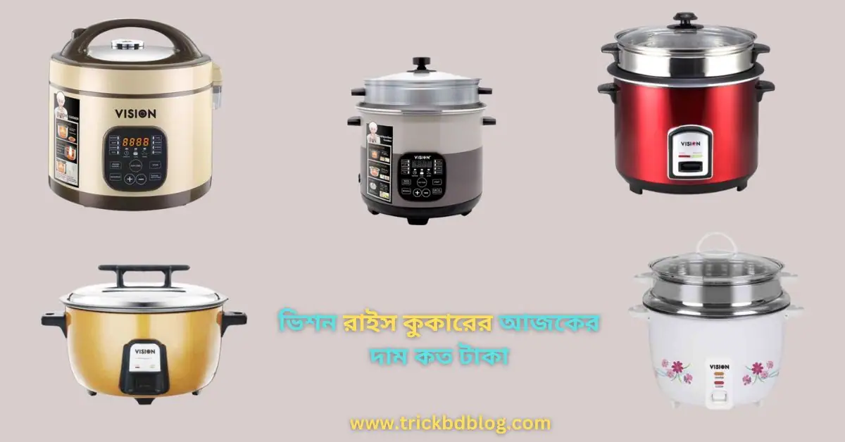 ভিশন রাইস কুকারের আজকের দাম কত টাকা ২০২৫