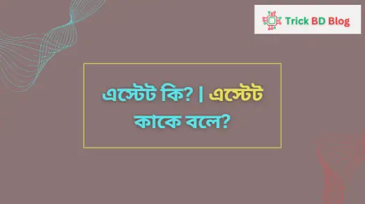 এস্টেট কি? | এস্টেট কাকে বলে?