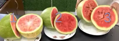কিভাবে পাকা তরমুজ চিনবো? | ভালো ও পাকা তরমুজ চেনার ৬টি উপায়