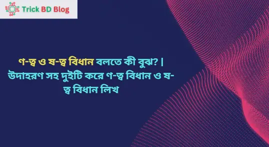 ণ-ত্ব ও ষ-ত্ব বিধান বলতে কী বুঝ? | উদাহরণ সহ দুইটি করে ণ-ত্ব বিধান ও ষ-ত্ব বিধান লিখ
