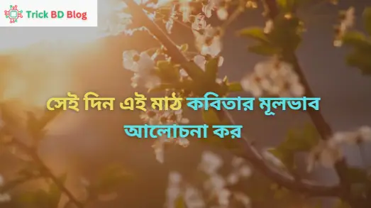 সেই দিন এই মাঠ কবিতার মূলভাব আলোচনা কর