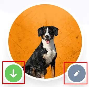 অনলাইনে এআই দিয়ে ছবি এডিট করার নিয়ম