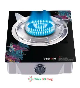 VSN LPG Single Glass Gstv Fancy দাম কত টাকা২০২৬?