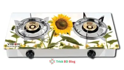 VISION NG Double Glass Gas Stove Sun Fl 3D আজকের দাম কত টাকা ২০২৬?