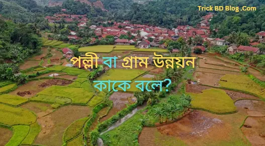 পল্লী বা গ্রাম উন্নয়ন কাকে বলে?