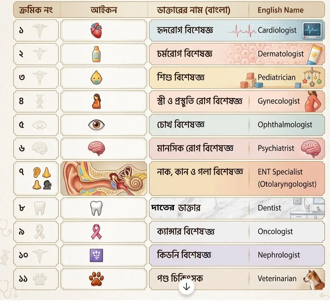 কোন রোগের ডাক্তারকে ইংরেজিতে কী বলে?, ডাক্তারদের ইংরেজি নামের তালিকা